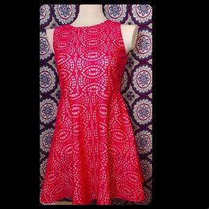 Pink Lace Dress | size 16 |